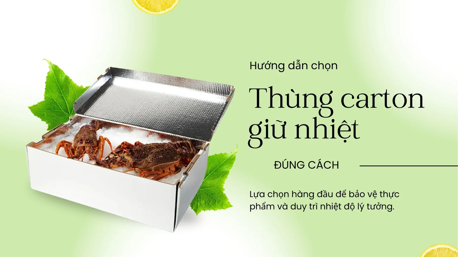 Hướng dẫn chọn thùng carton giữ nhiệt đúng cách để bảo quản thực phẩm đông lạnh